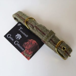Hundehalsband traditional small 24 - 32 cm von TWEEDMILL Farbe 2