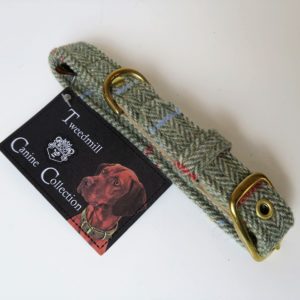 Hundehalsband traditional small 24 - 32 cm von TWEEDMILL Farbe 3